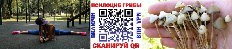 где купить наркотик  Белый  Галлюциногенные грибы мицелий 